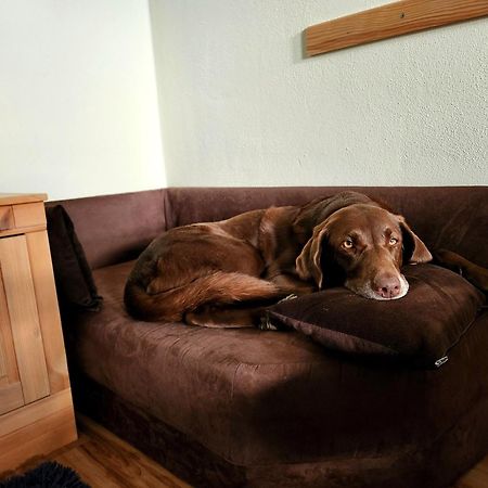 Ferienwohnung Baer Vohenstrauss Buitenkant foto
