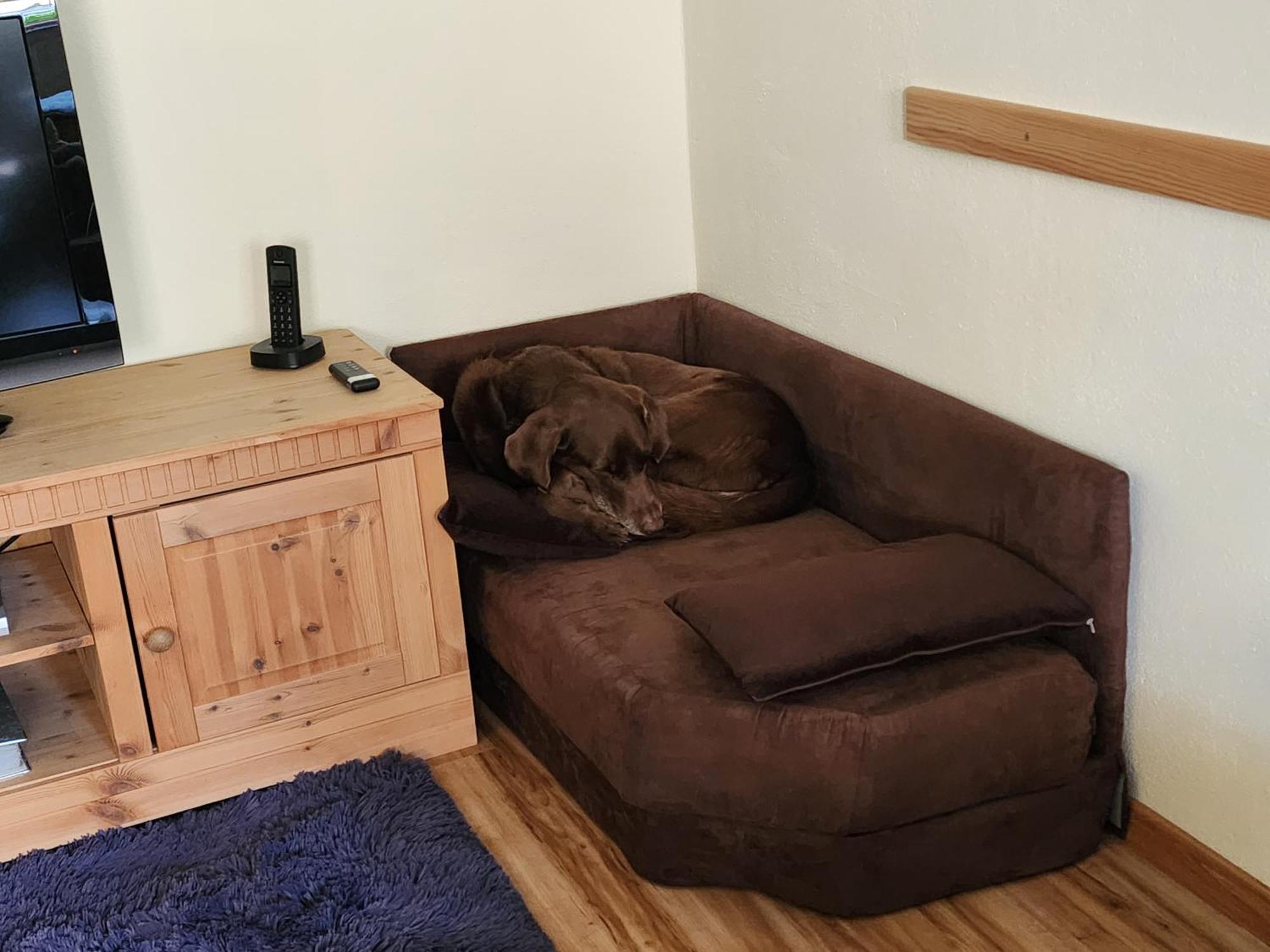Ferienwohnung Baer Vohenstrauss Buitenkant foto